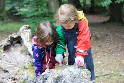 discovering at Forest kindergarten